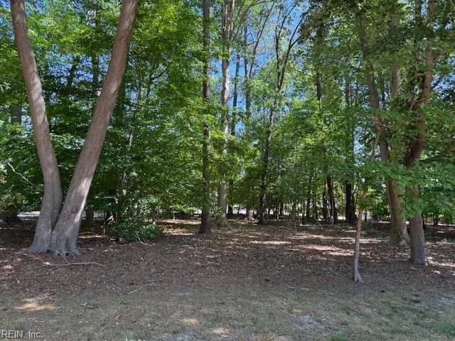 220 Ashford MNR, WILLIAMSBURG VA 23188 - Photo 3