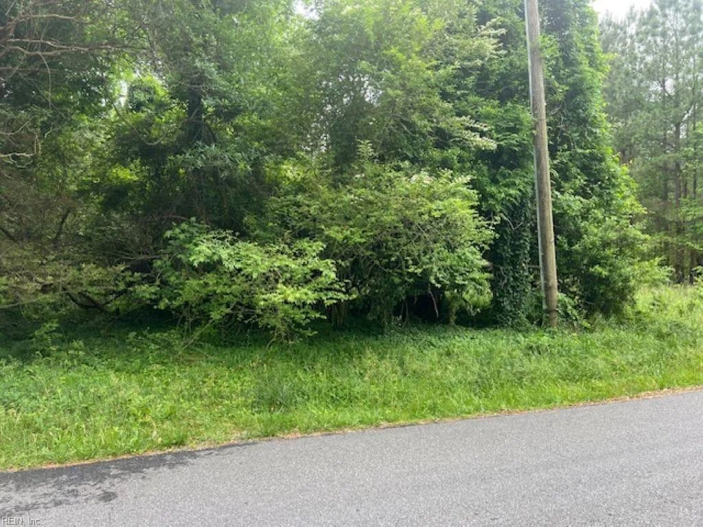 1 acre Mansion AVE, CLAREMONT VA 23899 - Main photo