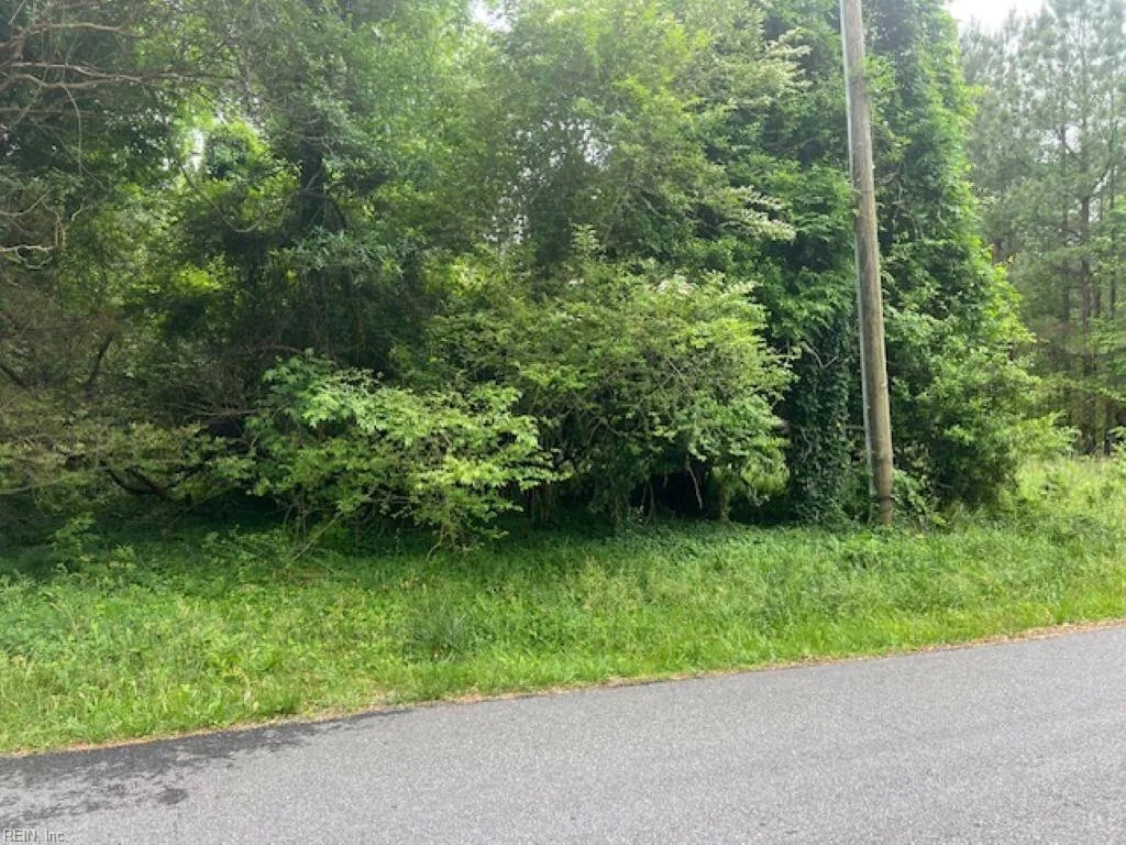 1 acre Mansion AVE, CLAREMONT VA 23899