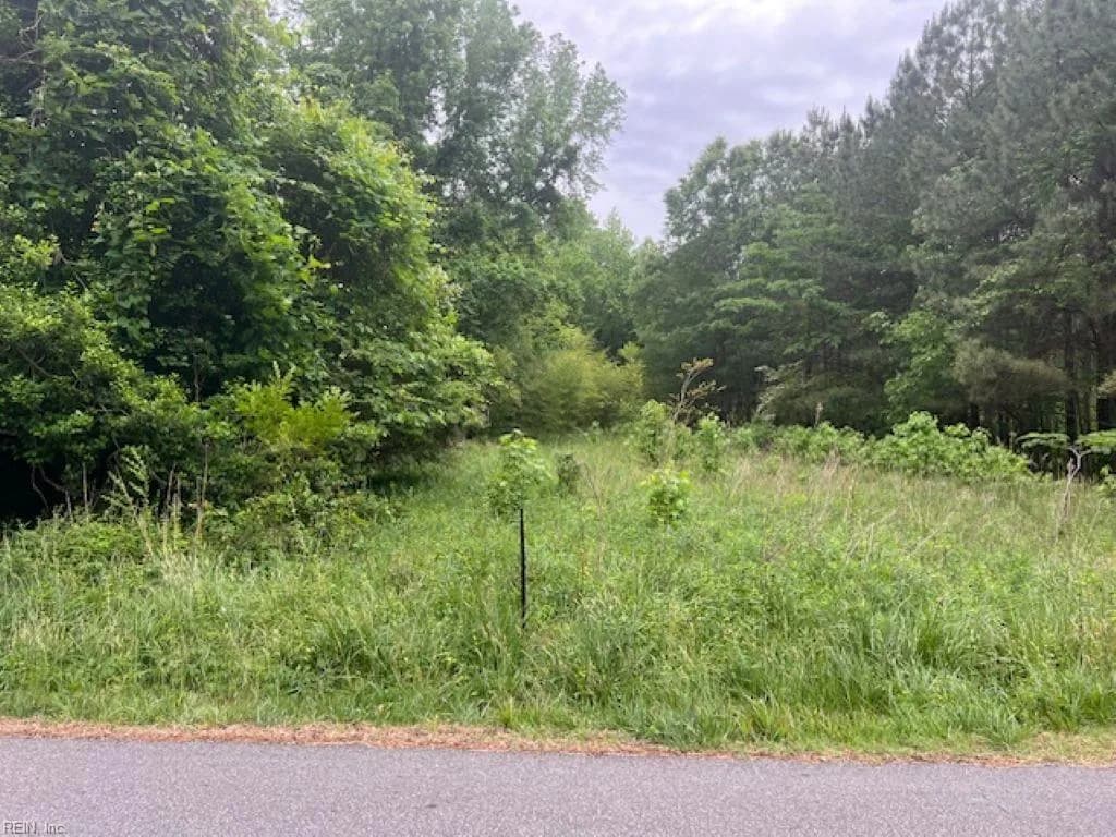1 acre Mansion AVE, CLAREMONT VA 23899 - Photo 3