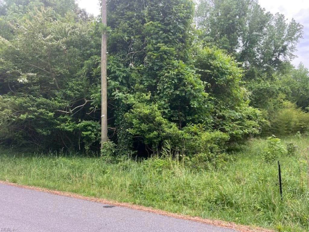 1 acre Mansion AVE, CLAREMONT VA 23899 - Photo 4