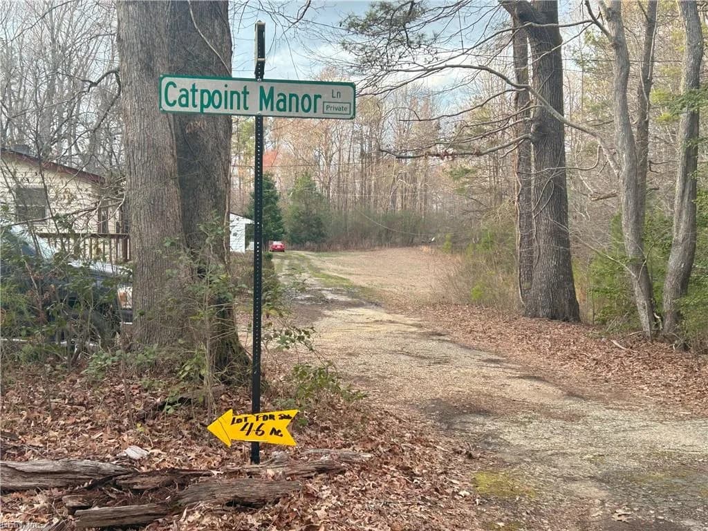 3.1+AC Near Cooks Mill RD, LANEXA VA 23089 - Photo 3
