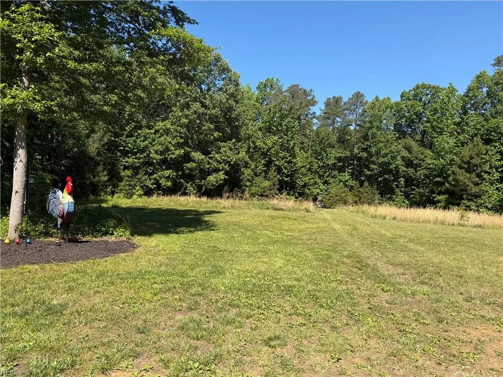 3.1+AC Near Cooks Mill RD, LANEXA VA 23089 - Photo 4