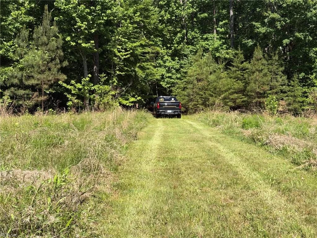 3.1+AC Near Cooks Mill RD, LANEXA VA 23089 - Photo 5
