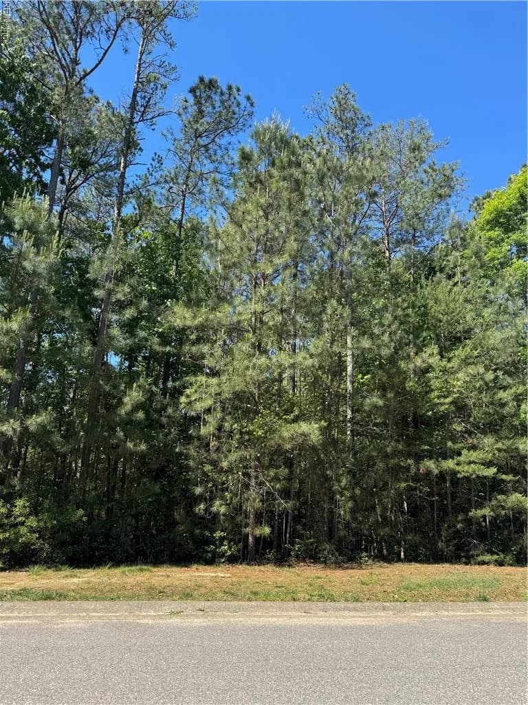 5269 Linkshire LN, PROVIDENCEFORGE VA 23140 - Photo 2