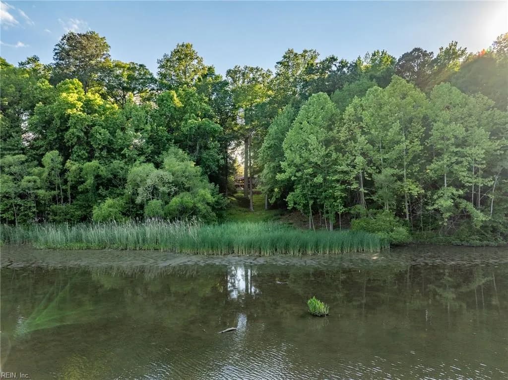 112 The Colony, WILLIAMSBURG VA 23185 - Photo 3