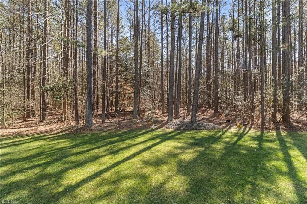 4121 Gadwell CT, PROVIDENCEFORGE VA 23140 - Photo 3