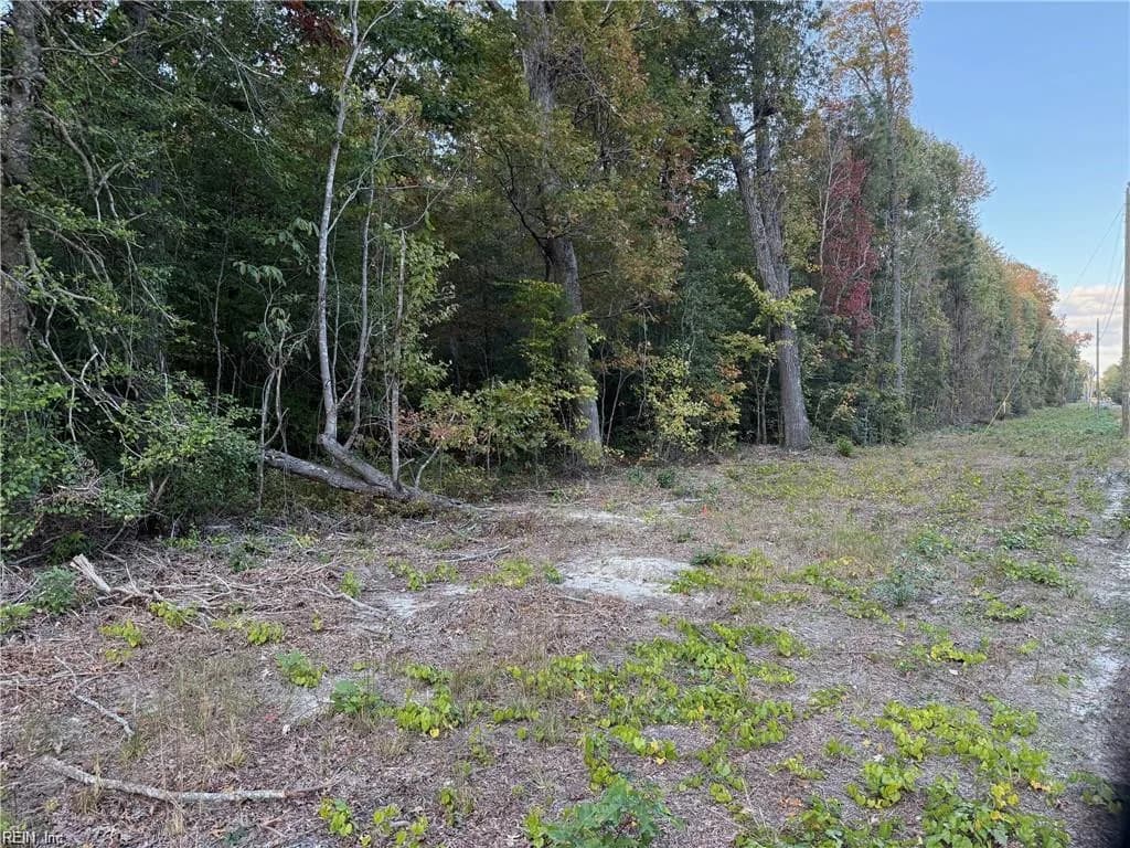 3AC Hog Island RD, SURRY VA 23883 - Photo 3