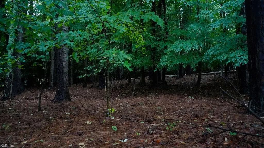 1350 Moyer RD, NEWPORTNEWS VA 23608 - Photo 3