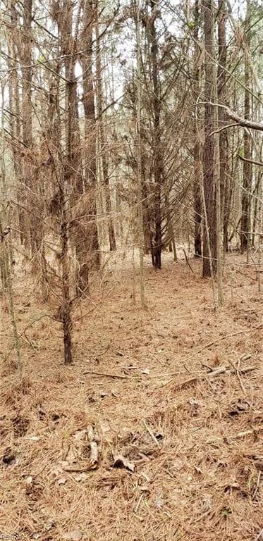 949 Cherry Grove RD N, SUFFOLK VA 23432 - Photo 4