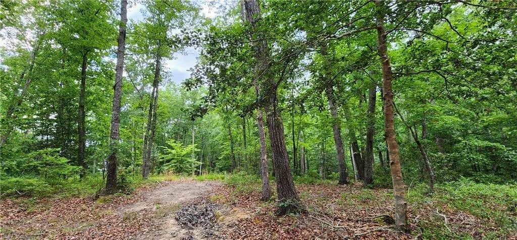 29 A Arminta LN, LANEXA VA 23089 - Photo 3