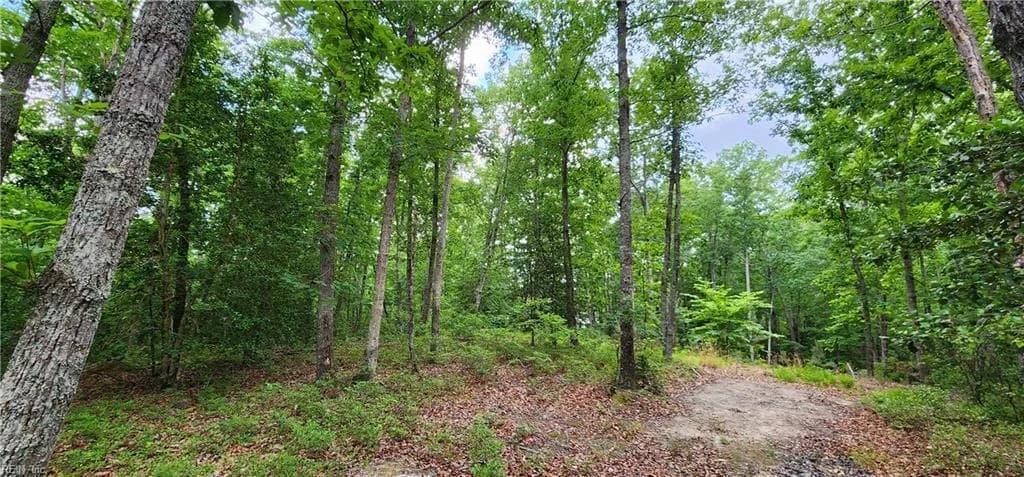 29 A Arminta LN, LANEXA VA 23089 - Photo 4
