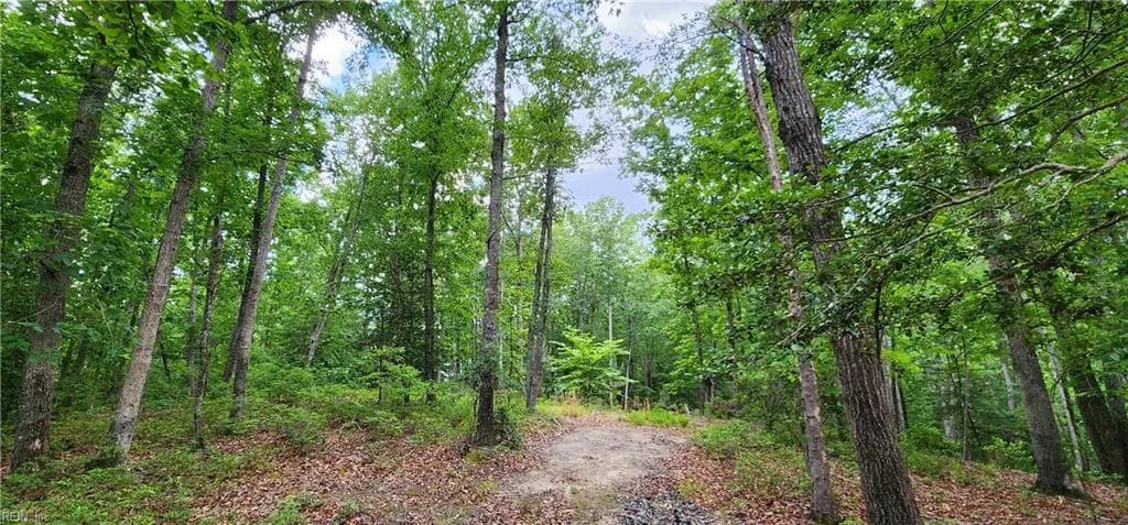 29 A Arminta LN, LANEXA VA 23089 - Photo 5