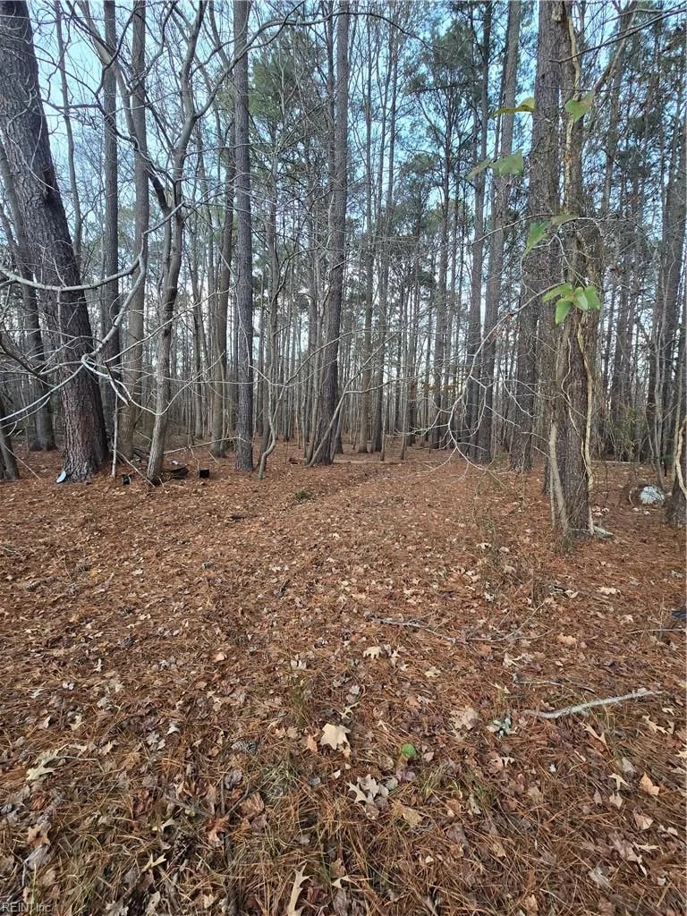 183 Crafford NONE, Newport News — Land and Farms