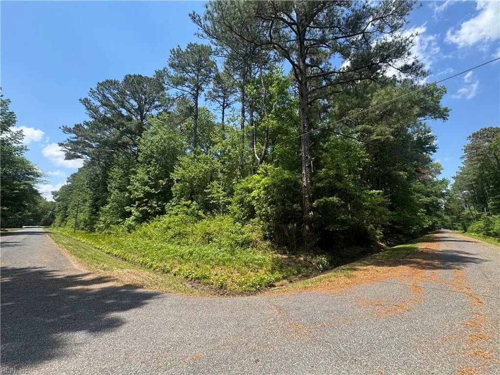 38 BLK Darden ST, CHESAPEAKE VA 23322 - Photo 2