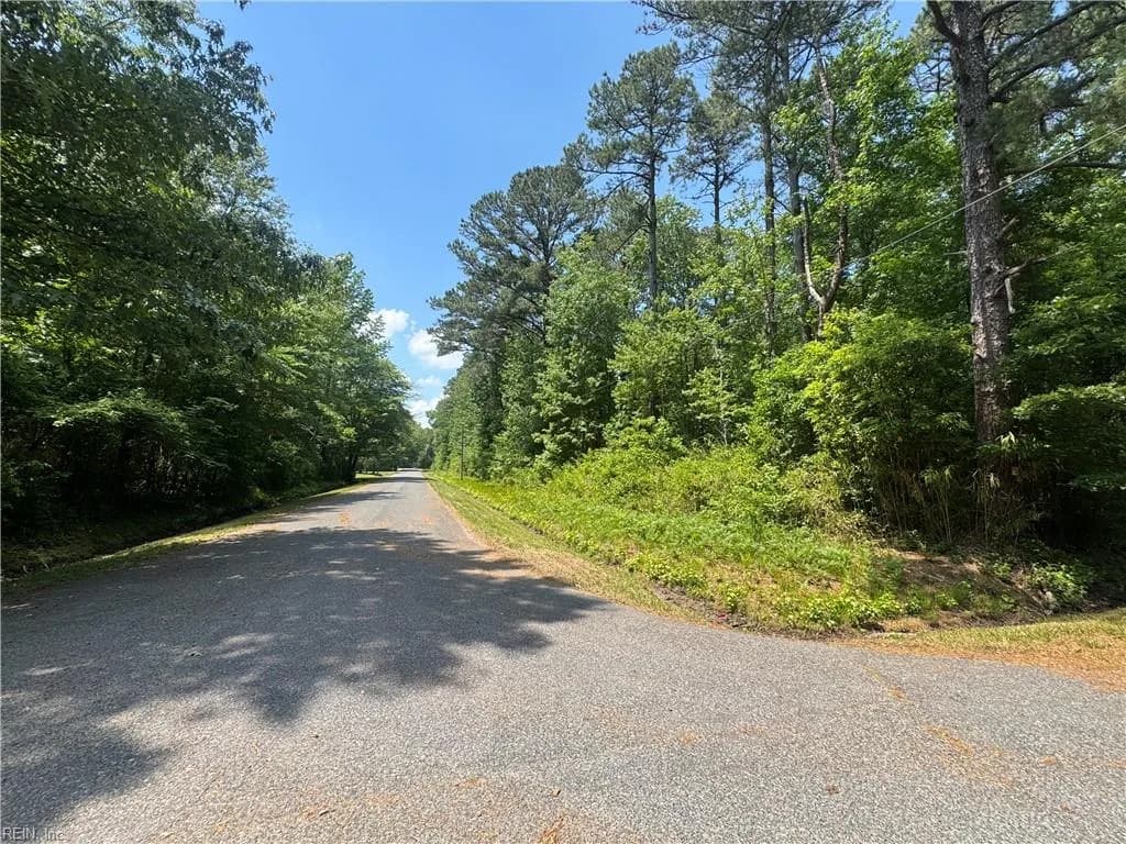 38 BLK Darden ST, CHESAPEAKE VA 23322 - Photo 3
