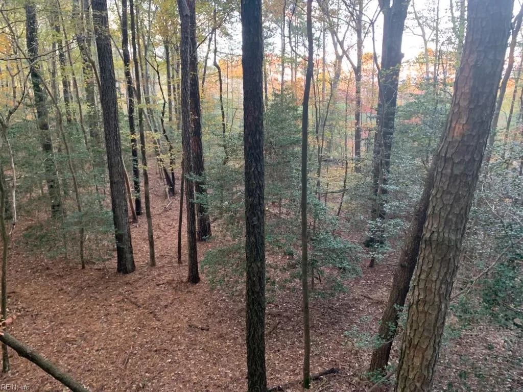 10+AC Groton Tract A Woods NONE, ONANCOCK VA 23417