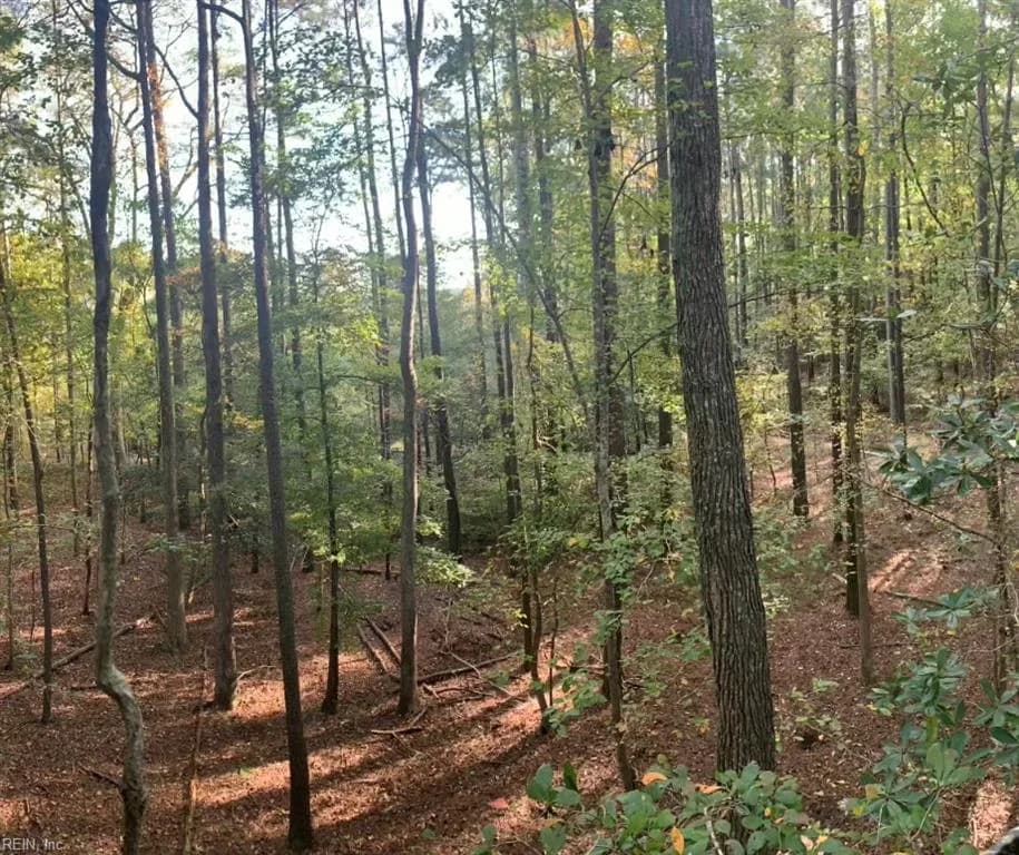 10+AC Groton Tract A Woods NONE, ONANCOCK VA 23417 - Photo 3