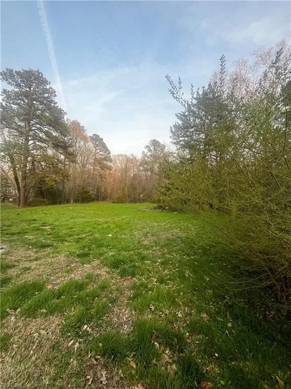 320 Barlow RD, WILLIAMSBURG VA 23188 - Photo 4