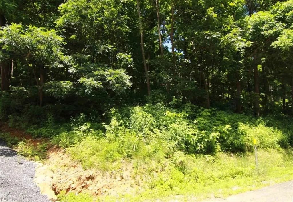 270 Timber Camp DR, ROSELAND VA 22967 - Photo 3