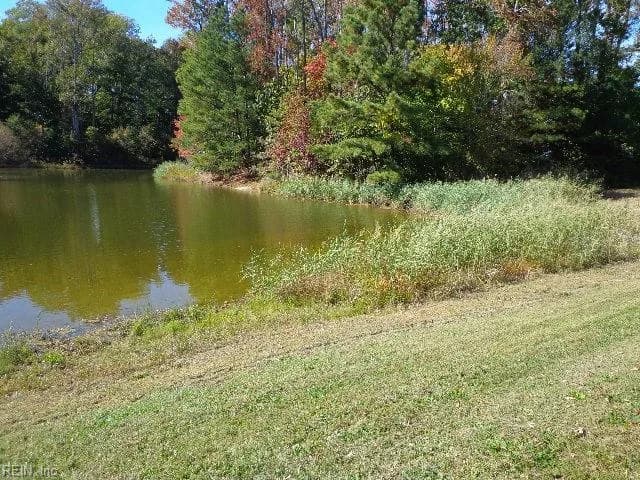 1445 Morgarts Beach RD, SMITHFIELD VA 23430 - Photo 3
