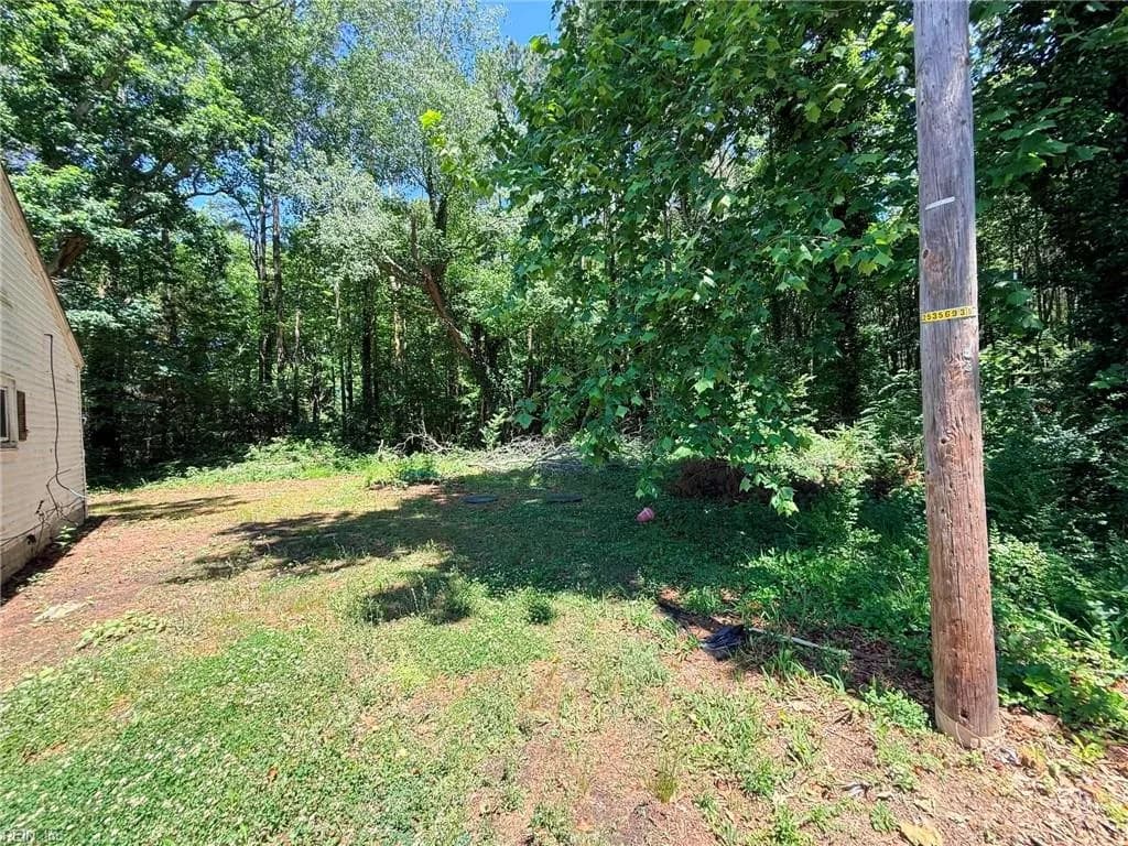 27155 Nelsonia RD, BLOXOM VA 23308 - Photo 3