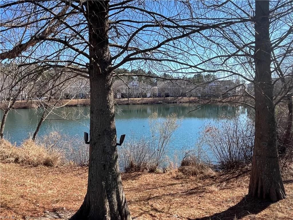 4158 Pritchard ST, SUFFOLK VA 23435 - Photo 4
