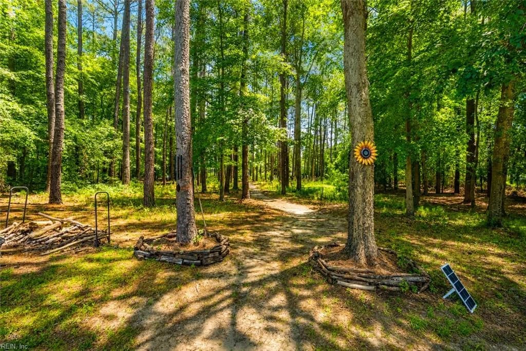 2009 Skimmers LN, SUFFOLK VA 23434 - Photo 4