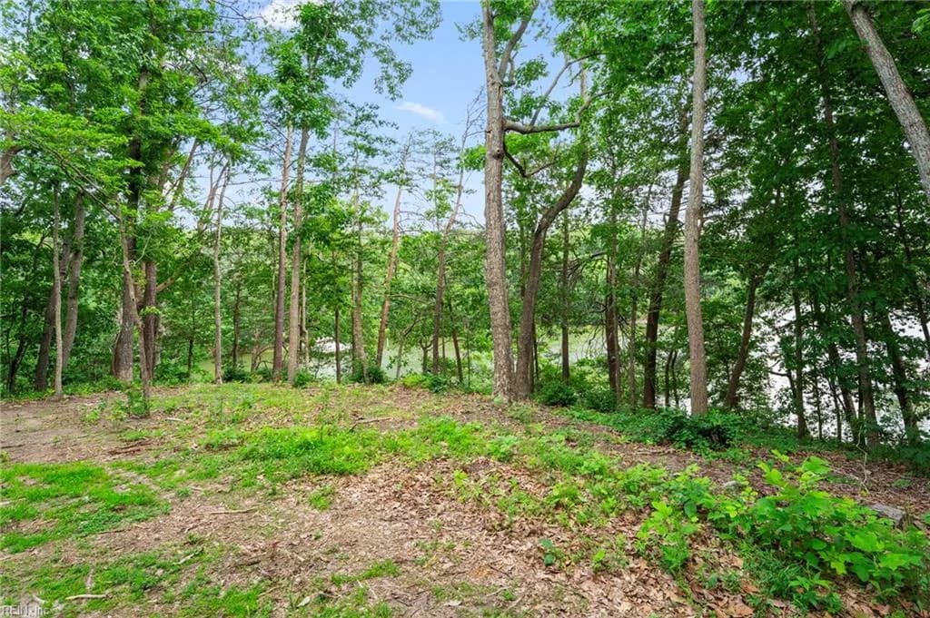 1015 Wilton Coves DR, HARTFIELD VA 23071 - Photo 4