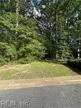 120 Ballycastle NONE, WILLIAMSBURG VA 23188 - Photo 2