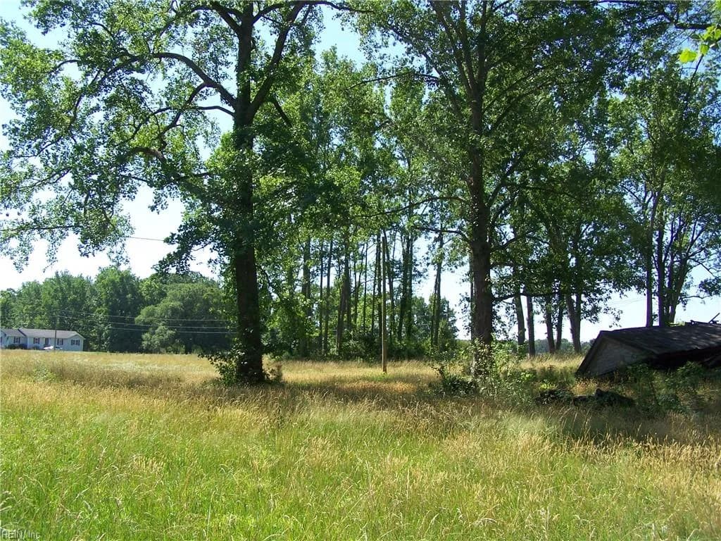 29387 Statesville RD, NEWSOMS VA 23874 - Photo 2