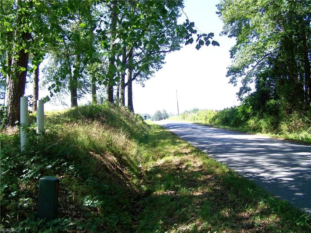 29387 Statesville RD, NEWSOMS VA 23874 - Photo 4