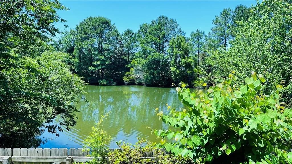 733 Whisper WALK, CHESAPEAKE VA 23322 - Photo 5