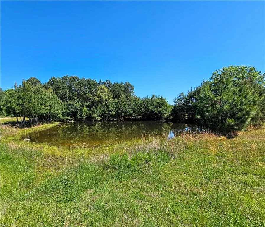 1981 Cobham Wharf RD, SURRY VA 23883 - Photo 2