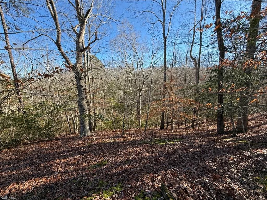 5 Meadow CIR, WILLIAMSBURG VA 23188 - Photo 3