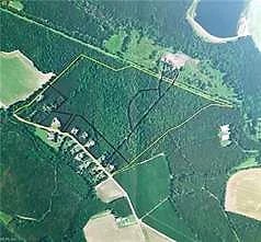 50+AC Guy Place RD, Courtland — Land and Farms