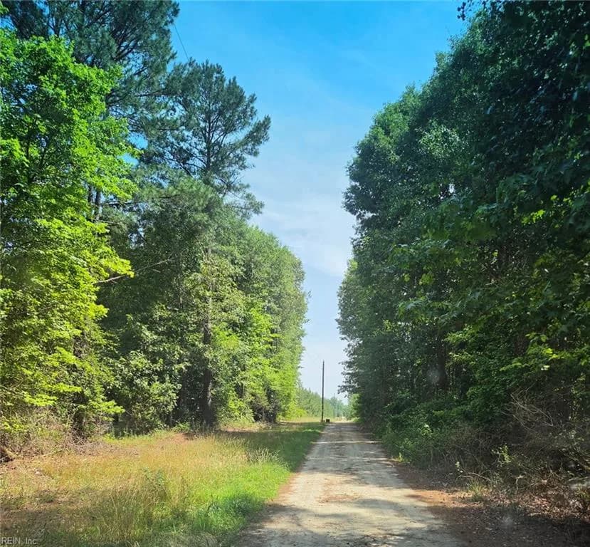 00 Guy Place RD, COURTLAND VA 23837 - Photo 3