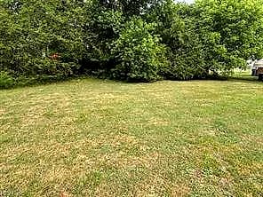 507 Wellons ST, SUFFOLK VA 23434 - Photo 5