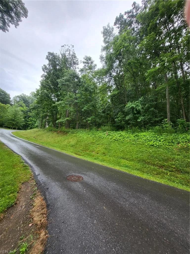 Lot 50 Donald Ross TRL, HOTSPRINGS VA 24445 - Main photo