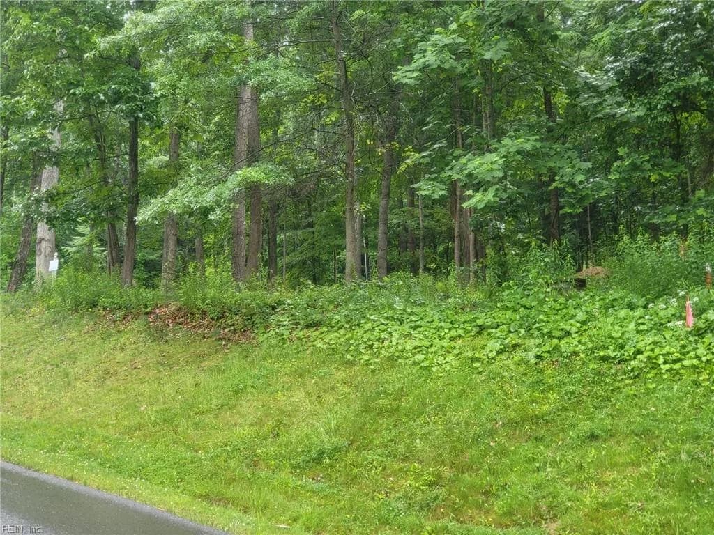 Lot 50 Donald Ross TRL, HOTSPRINGS VA 24445 - Photo 3