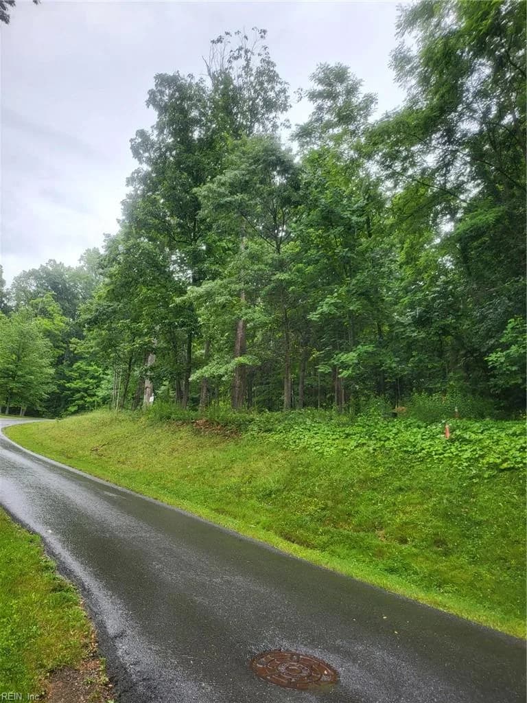 Lot 50 Donald Ross TRL, HOTSPRINGS VA 24445 - Photo 4