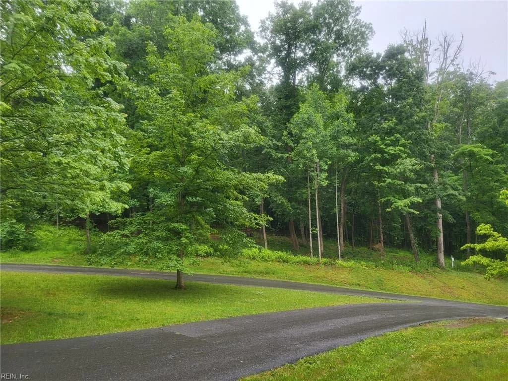 Lot 50 Donald Ross TRL, HOTSPRINGS VA 24445 - Photo 5