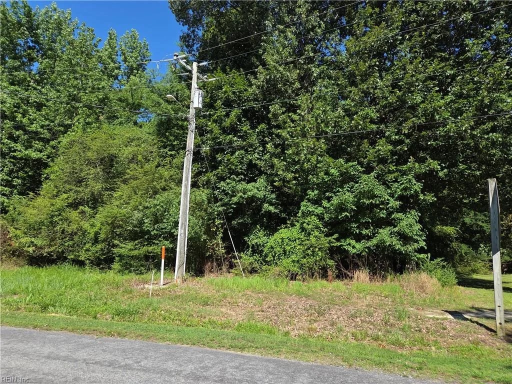 Lot 1 Branch Bridge ST, BRANCHVILLE VA 23828
