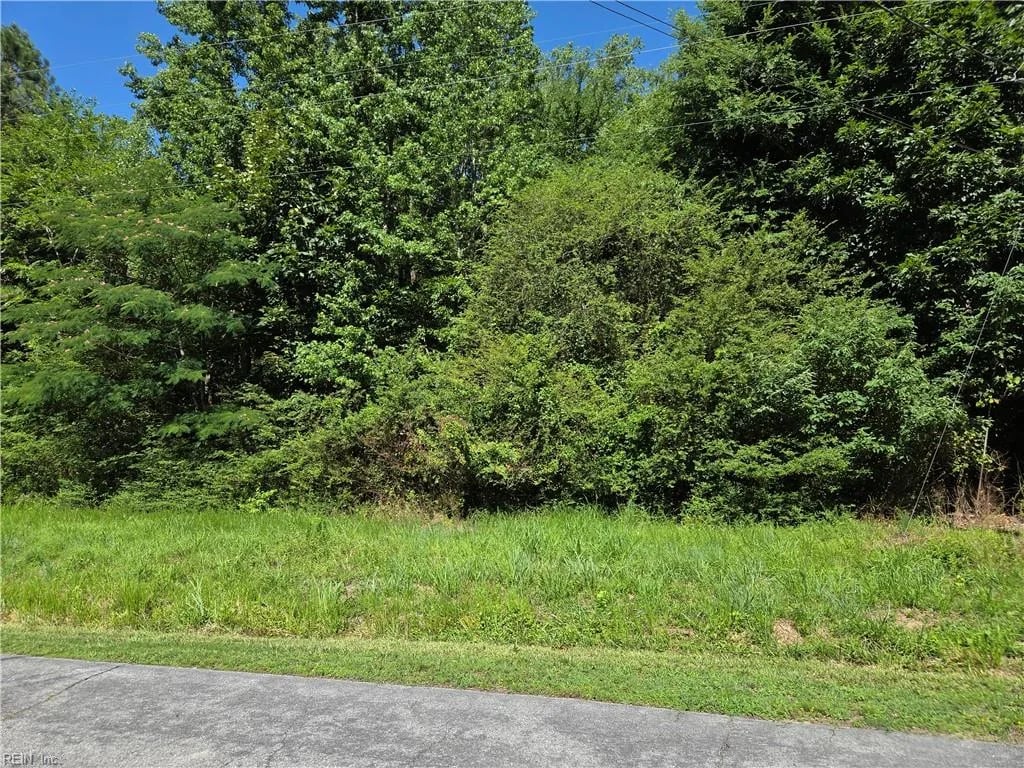 Lot 2 Branch Bridge ST, BRANCHVILLE VA 23828
