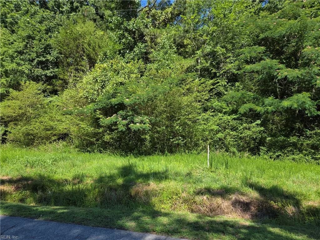 Lot 3 Branch Bridge ST, BRANCHVILLE VA 23828 - Main photo