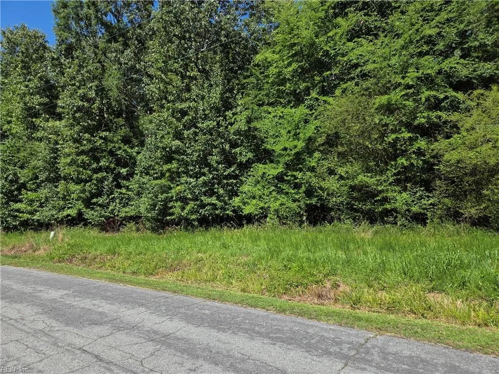 Lot 4 Branch Bridge ST, BRANCHVILLE VA 23828 - Photo 2