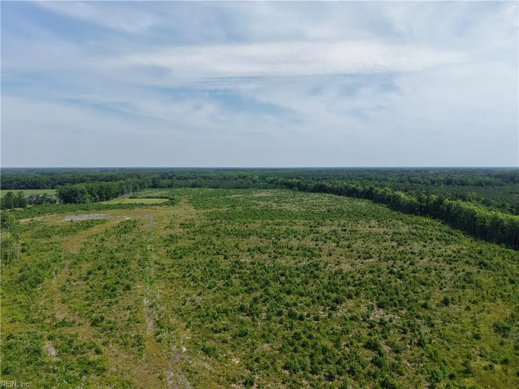 107 AC Carolina Rd/NC 32 HWY, Suffolk — Land and Farms
