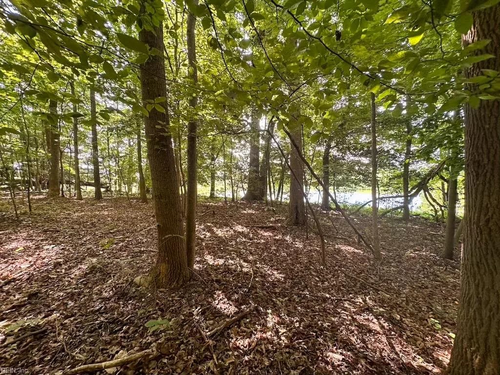 27 AC Hills DR, DEWITT VA 23840 - Photo 5