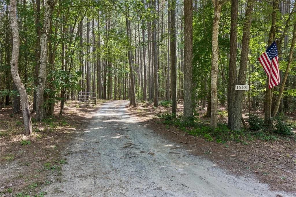 16101 Diascund Shores LN, LANEXA VA 23089 - Photo 3