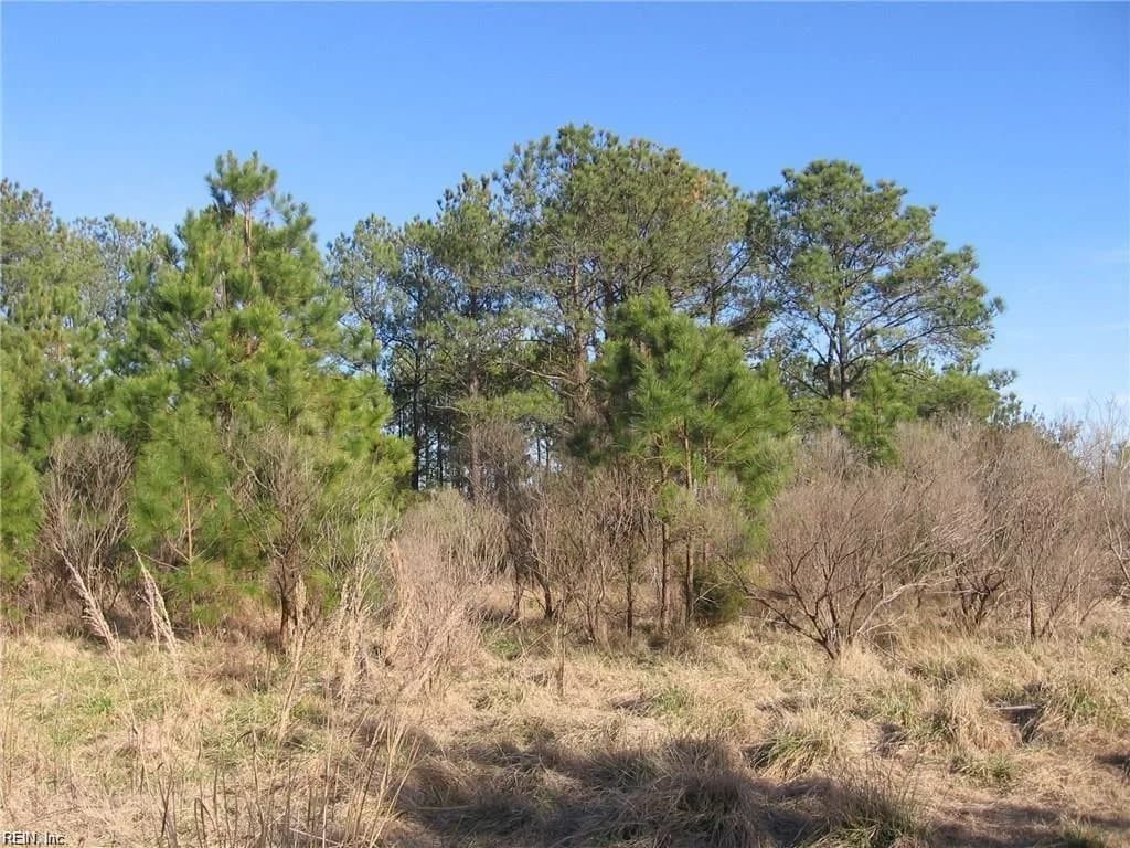 3820 Marlin Bay CT, VIRGINIABEACH VA 23455 - Photo 4